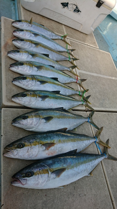 旭星釣りセンター 釣果