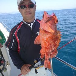 マタウマリンサービス 釣果