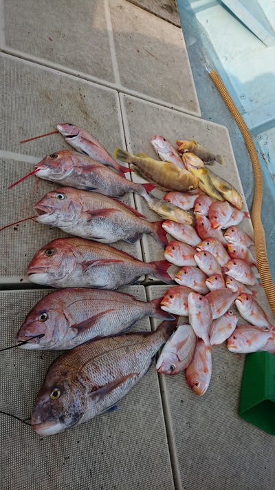 旭星釣りセンター 釣果