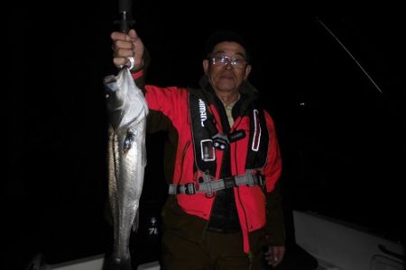 ルアー船マヒマヒ 釣果