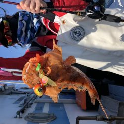 長栄丸(千葉) 釣果