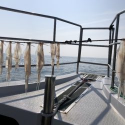 ふじしめ丸 釣果