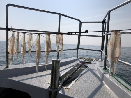 ふじしめ丸 釣果