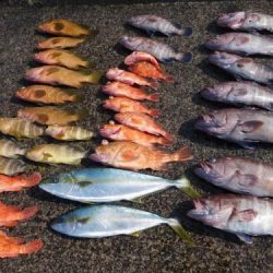 第二一之紀丸（ダイニイチノキマル） 釣果