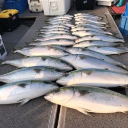 幸風（さちかぜ） 釣果
