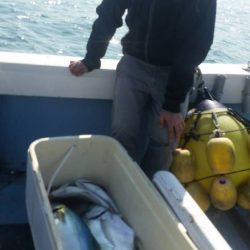 第五慶門丸 釣果