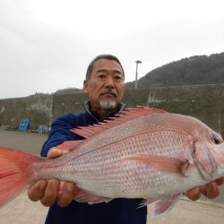 大進丸(新潟) 釣果