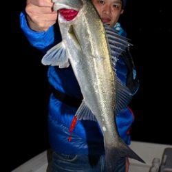 Marine T Design　マリンティーデザイン 釣果