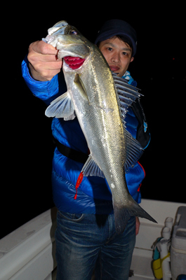 Marine T Design　マリンティ…