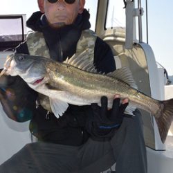 Marine T Design マリンティーデザイン 釣果