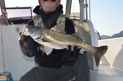 Marine T Design マリンティーデザイン 釣果