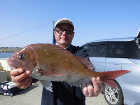 大進丸(新潟) 釣果
