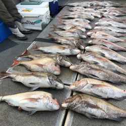 幸風（さちかぜ） 釣果