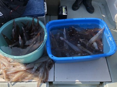 ふじしめ丸 釣果