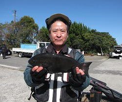 第八有漁丸 釣果