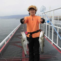 尼崎市立魚つり公園 釣果