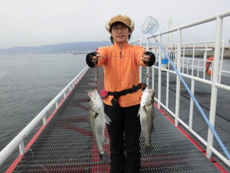 尼崎市立魚つり公園 釣果