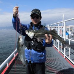 尼崎市立魚つり公園 釣果