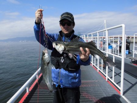 尼崎市立魚つり公園 釣果