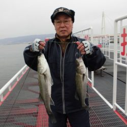 尼崎市立魚つり公園 釣果