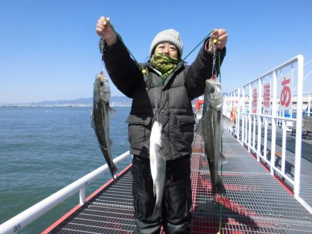 尼崎市立魚つり公園 釣果