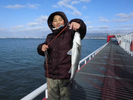 尼崎市立魚つり公園 釣果