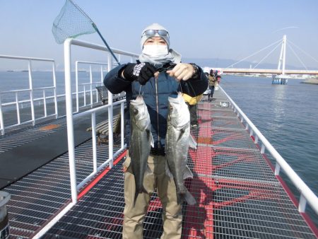 尼崎市立魚つり公園 釣果