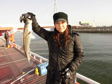 尼崎市立魚つり公園 釣果