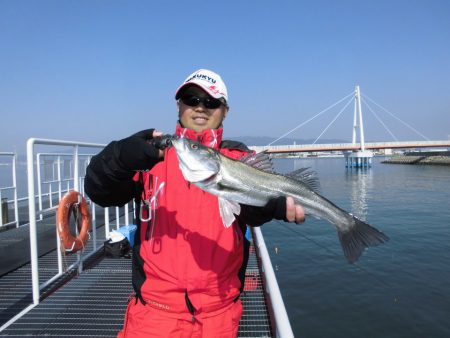 尼崎市立魚つり公園 釣果