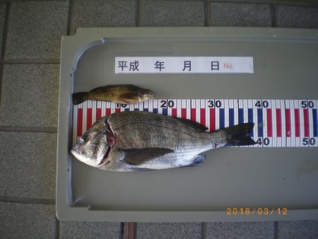 姫路市立遊魚センター 釣果