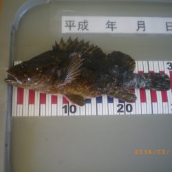 姫路市立遊魚センター 釣果