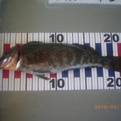 姫路市立遊魚センター 釣果