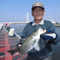 尼崎市立魚つり公園 釣果