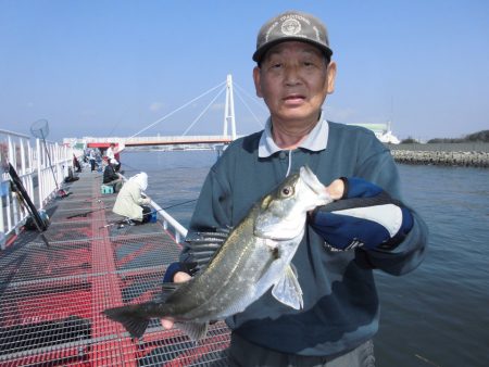 尼崎市立魚つり公園 釣果