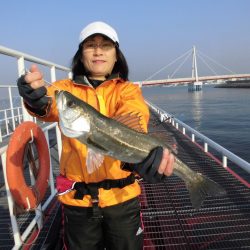 尼崎市立魚つり公園 釣果