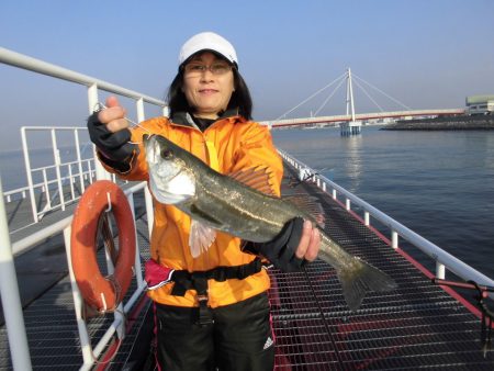 尼崎市立魚つり公園 釣果
