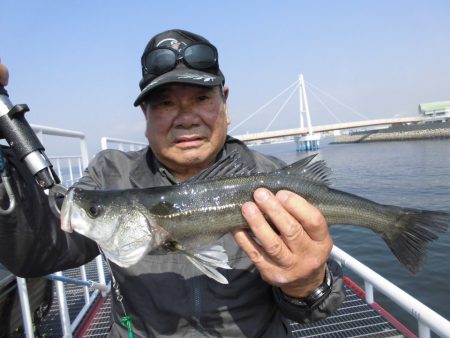 尼崎市立魚つり公園 釣果