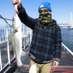 尼崎市立魚つり公園 釣果