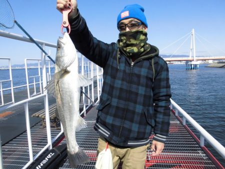 尼崎市立魚つり公園 釣果