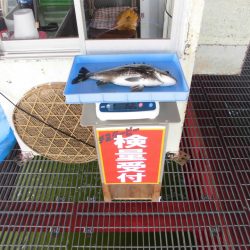 尼崎市立魚つり公園 釣果