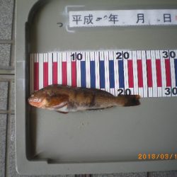 姫路市立遊魚センター 釣果