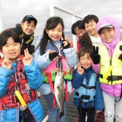 尼崎市立魚つり公園 釣果