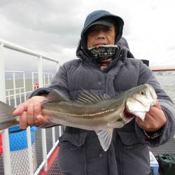 尼崎市立魚つり公園 釣果