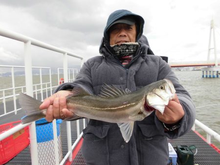 尼崎市立魚つり公園 釣果