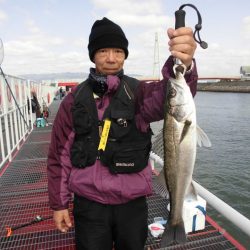 尼崎市立魚つり公園 釣果