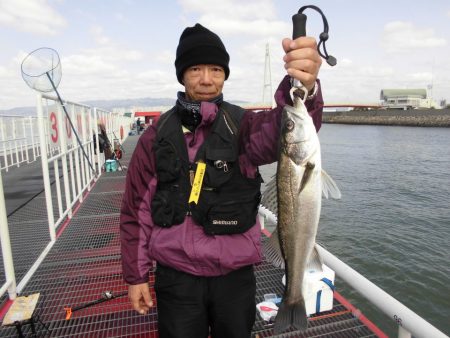 尼崎市立魚つり公園 釣果