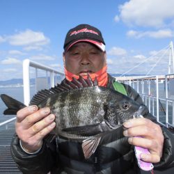 尼崎市立魚つり公園 釣果