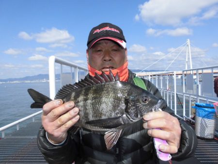 尼崎市立魚つり公園 釣果