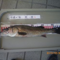 姫路市立遊魚センター 釣果