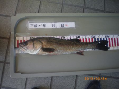 姫路市立遊魚センター 釣果